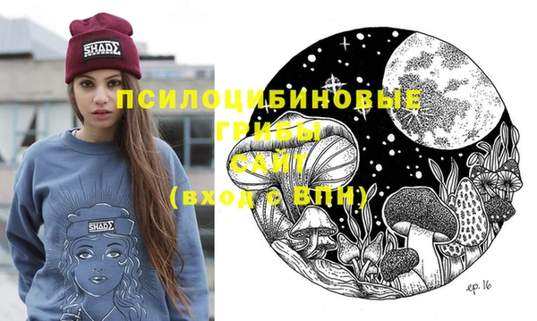 твердый Алексин